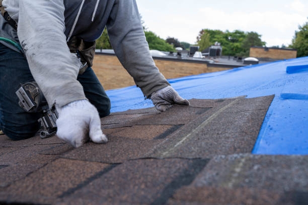 Roof Coating Services in Cohoe, AK