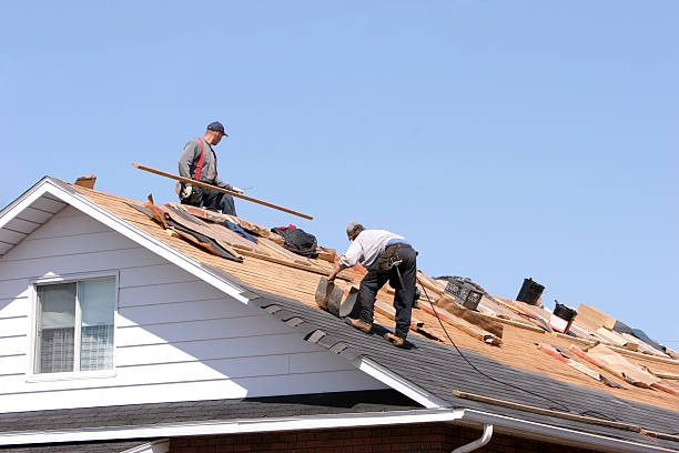 Best Storm Damage Roof Repair  in Cohoe, AK